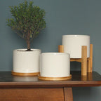 Minimalist Ceramic Flower Pot