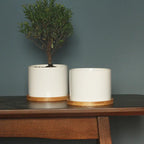 Minimalist Ceramic Flower Pot