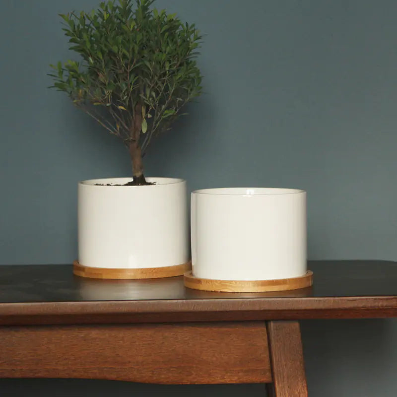 Minimalist Ceramic Flower Pot
