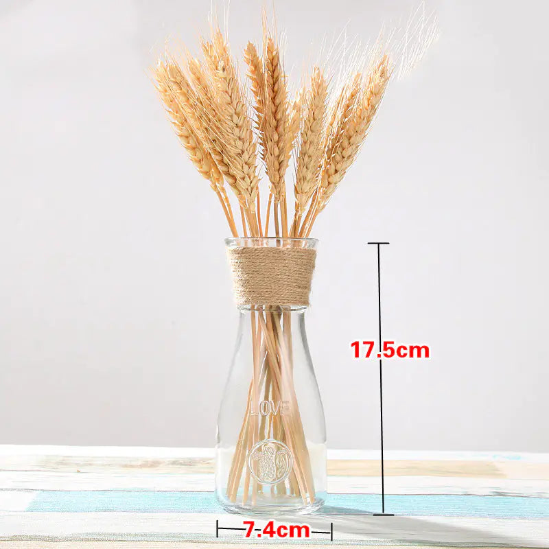 Rural Glass Plant Vase